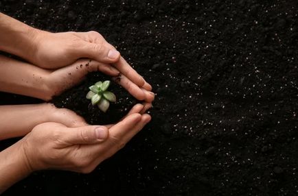 Pareja cultivando amor y conexión en un entorno natural, abrazándose y sonriendo.